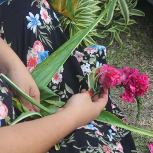 3 ateliers au collège de PAEA